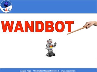 COMANDIAMO UN ROBOT “a bacchetta”

Angelo Rega - Università di Napoli Federico II – www.nac.unina.it -

 