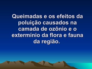 Queimadas e os efeitos da poluição causados na camada de ozônio e o extermínio da flora e fauna da região.   