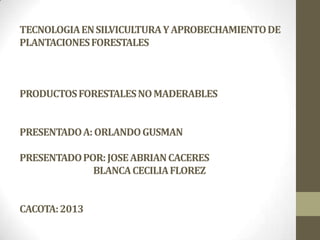 TECNOLOGIA EN SILVICULTURA Y APROBECHAMIENTO DE
PLANTACIONES FORESTALES

PRODUCTOS FORESTALES NO MADERABLES
PRESENTADO A: ORLANDO GUSMAN
PRESENTADO POR: JOSE ABRIAN CACERES
BLANCA CECILIA FLOREZ
CACOTA: 2013

 