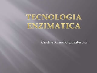 Cristian Camilo Quintero G.
 