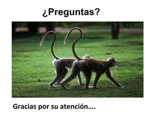 ¿Preguntas?
Gracias	
  por	
  su	
  atención….	
  
 