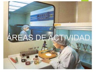 ÁREAS DE ACTIVIDAD
 