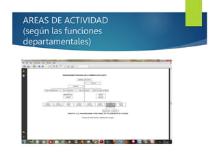 AREAS DE ACTIVIDAD
(según las funciones
departamentales)
 