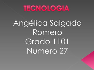 Angélica Salgado Romero Grado 1101 Numero 27 