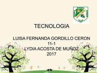 TECNOLOGIA
LUISA FERNANDA GORDILLO CERON
11-1
LYDIA ACOSTA DE MUÑOZ
2017
 