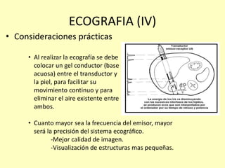 ECOGRAFIA (IV)
• Consideraciones prácticas
• Al realizar la ecografía se debe
colocar un gel conductor (base
acuosa) entre el transductor y
la piel, para facilitar su
movimiento continuo y para
eliminar el aire existente entre
ambos.
• Cuanto mayor sea la frecuencia del emisor, mayor
será la precisión del sistema ecográfico.
-Mejor calidad de imagen.
-Visualización de estructuras mas pequeñas.
 