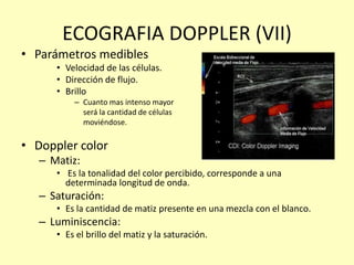 ECOGRAFIA DOPPLER (VII)
• Parámetros medibles
• Velocidad de las células.
• Dirección de flujo.
• Brillo
– Cuanto mas intenso mayor
será la cantidad de células
moviéndose.
• Doppler color
– Matiz:
• Es la tonalidad del color percibido, corresponde a una
determinada longitud de onda.
– Saturación:
• Es la cantidad de matiz presente en una mezcla con el blanco.
– Luminiscencia:
• Es el brillo del matiz y la saturación.
 