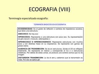 ECOGRAFIA (VIII)
Terminogía especializada ecografía:
 