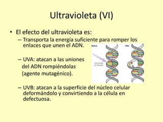Ultravioleta (VI)
• El efecto del ultravioleta es:
– Transporta la energía suficiente para romper los
enlaces que unen el ADN.
– UVA: atacan a las uniones
del ADN rompiéndolas
(agente mutagénico).
– UVB: atacan a la superficie del núcleo celular
deformándolo y convirtiendo a la célula en
defectuosa.
 