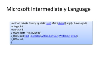 Common Language Runtime