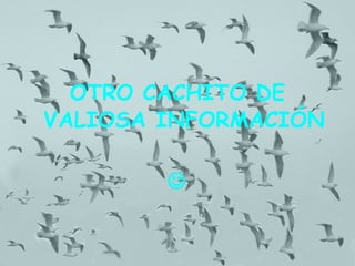 OTRO CACHITO DE VALIOSA INFORMACIÓN  