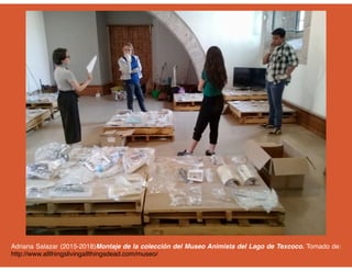 Adriana Salazar (2015-2018)Montaje de la colección del Museo Animista del Lago de Texcoco. Tomado de:
http://www.allthingslivingallthingsdead.com/museo/
 