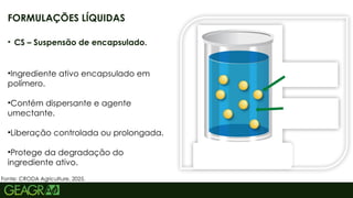 12
• CS – Suspensão de encapsulado.
•Ingrediente ativo encapsulado em
polímero.
•Contém dispersante e agente
umectante.
•Liberação controlada ou prolongada.
•Protege da degradação do
ingrediente ativo.
FORMULAÇÕES LÍQUIDAS
Fonte: CRODA Agriculture, 2025.
 