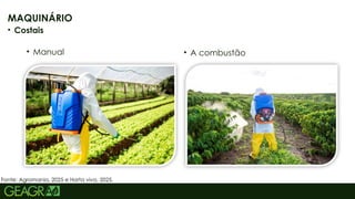 37
• Manual
MAQUINÁRIO
• Costais
• A combustão
Fonte: Agromania, 2025 e Horta viva, 2025.
 