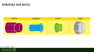 40
ESTRUTURA DOS BICOS
Fonte: ANDEF, 2025.
 
