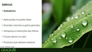 50
• Endoderiva
• Aplicações na parte foliar;
• Grandes volumes e gotas grandes;
• Ultrapassa a retenção das folhas;
• Causa danos no solo;
• Produtos que deixam residual.
DERIVAS
Fonte: OPENAI, 2025.
 