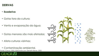 51
DERIVAS
• Exoderiva
• Gotas fora da cultura;
• Vento e evaporação da água;
• Gotas menores são mais afetadas;
• Afeta culturas vizinhas;
• Contaminação ambiental.
Fonte: Canva, 2025. Elaborado por: Deineth Neves, 2025.
 