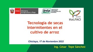 Tecnología de secas
intermitentes en el
cultivo de arroz
Chiclayo, 17 de Noviembre 2022
Ing. César Tepe Sánchez
 