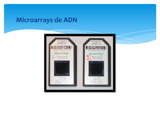Microarrays de ADN

 