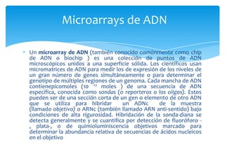 Microarrays de ADN
Un microarray de ADN (también conocido comúnmente como chip
de ADN o biochip ) es una colección de puntos de ADN
microscópicos unidos a una superficie sólida. Los científicos usan
micromatrices de ADN para medir los de expresión de los niveles de
un gran número de genes simultáneamente o para determinar el
genotipo de múltiples regiones de un genoma. Cada mancha de ADN
contienepicomoles (10 -12 moles ) de una secuencia de ADN
específica, conocida como sondas (o reporteros o los oligos). Estos
pueden ser de una sección corta de un gen o elemento de otro ADN
que se utiliza para hibridar
un ADNc
de la muestra
(llamado objetivo) o ARNc (también llamado ARN anti-sentido) bajo
condiciones de alta rigurosidad. Hibridación de la sonda-diana se
detecta generalmente y se cuantifica por detección de fluoróforo , plata-, o de quimioluminiscencia objetivos marcado para
determinar la abundancia relativa de secuencias de ácidos nucleicos
en el objetivo

 