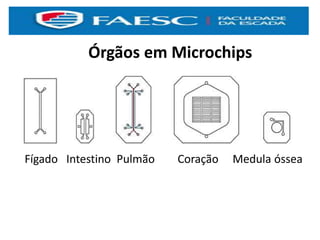 Órgãos em Microchips
Fígado Intestino Pulmão Coração Medula óssea
 