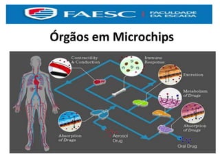 Órgãos em Microchips
 