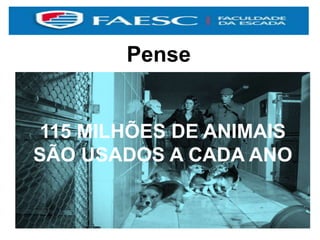 Pense
115 MILHÕES DE ANIMAIS
SÃO USADOS A CADA ANO
 