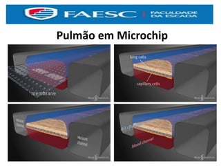 Pulmão em Microchip
 