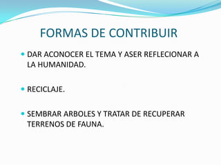FORMAS DE CONTRIBUIR
 DAR ACONOCER EL TEMA Y ASER REFLECIONAR A
  LA HUMANIDAD.

 RECICLAJE.


 SEMBRAR ARBOLES Y TRATAR DE RECUPERAR
  TERRENOS DE FAUNA.
 