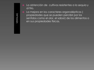 VENTAJAS
 La obtención de cultivos resistentes a la sequia y
al frio.
 La mejora en los caracteres organolépticos (
propiedades que se pueden percibir por los
sentidos como el olor, el sabor) de los alimentos o
en sus propiedades físicas.
 