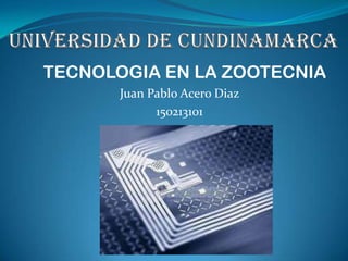 Juan Pablo Acero Diaz
150213101
TECNOLOGIA EN LA ZOOTECNIA
 