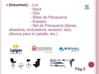  (Insumos): - Luz 
- Agua 
- Gas 
- Sillas de Peluquería 
- Espejos 
- Set de Peluquería (tijeras, 
alisadora, onduladora, secador, laca, 
silicona para el cabello, etc.) 
Pág.5 
 