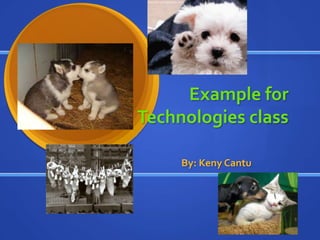 Example for
Technologies class

     By: Keny Cantu
 