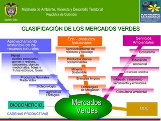 CLASIFICACIÓN DE LOS MERCADOS VERDES Biotecnología Servicios Ambientales Aprovechamiento  sostenible de los  recursos naturales  Eco - productos  Industriales Mercados  Mercados  Verdes Verdes Productos Naturales  Maderables Agricultura  Ecológica Energías limpias Aprovechamiento de  residuos y reciclaje Productos menos  contaminantes Ecoturismo Educación  Ambiental PNNM :  aceites esenciales,  gomas y resinas,  colorantes, plantas  medicinales, flores y  frutos exóticos, fauna Minería  Sostenible Tecnologías  de Mitigación MDL MDL Residuos sólidos Infraestr. tratamiento vertimiento y emisiones.  Consultoria ambiental • • CADENAS PRODUCTIVAS BIOCOMERCIO 