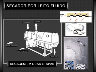 Tecnonogia do Leite e Soro de Leite em Pó