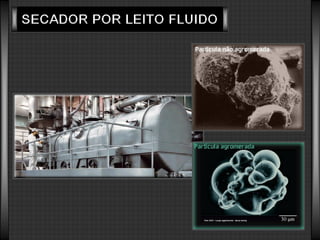 Tecnonogia do Leite e Soro de Leite em Pó