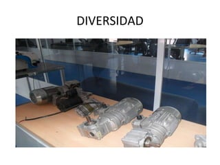 DIVERSIDAD