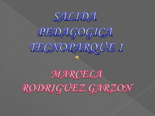 SALIDA  PEDAGOGICA  TECNOPARQUE 1 MARCELA  RODRIGUEZ GARZON  
