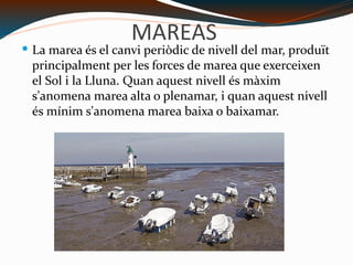 MAREAS La marea és el canvi periòdic de nivell del mar, produït principalment per les forces de marea que exerceixen el Sol i la Lluna. Quan aquest nivell és màxim s'anomena marea alta o plenamar, i quan aquest nivell és mínim s'anomena marea baixa o baixamar. C:\Users\usuario\Desktop\Mareelaflotteiledere.gif 