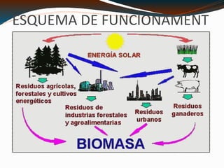 ESQUEMA DE FUNCIONAMENT C:\Users\usuario\Desktop\Image3349.gif 