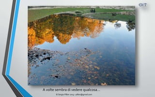 A volte sembra di vedere qualcosa…
       © Sergio Pillon 2013 - pillon@gmail.com
 