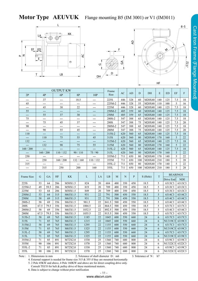 Teco electric motor manual PDF