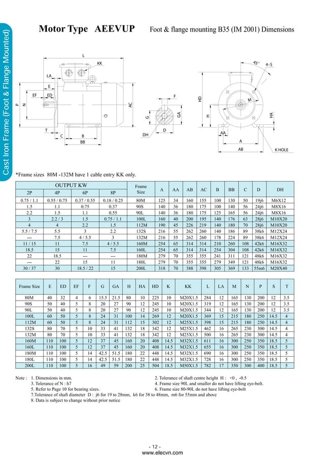 Teco electric motor manual PDF