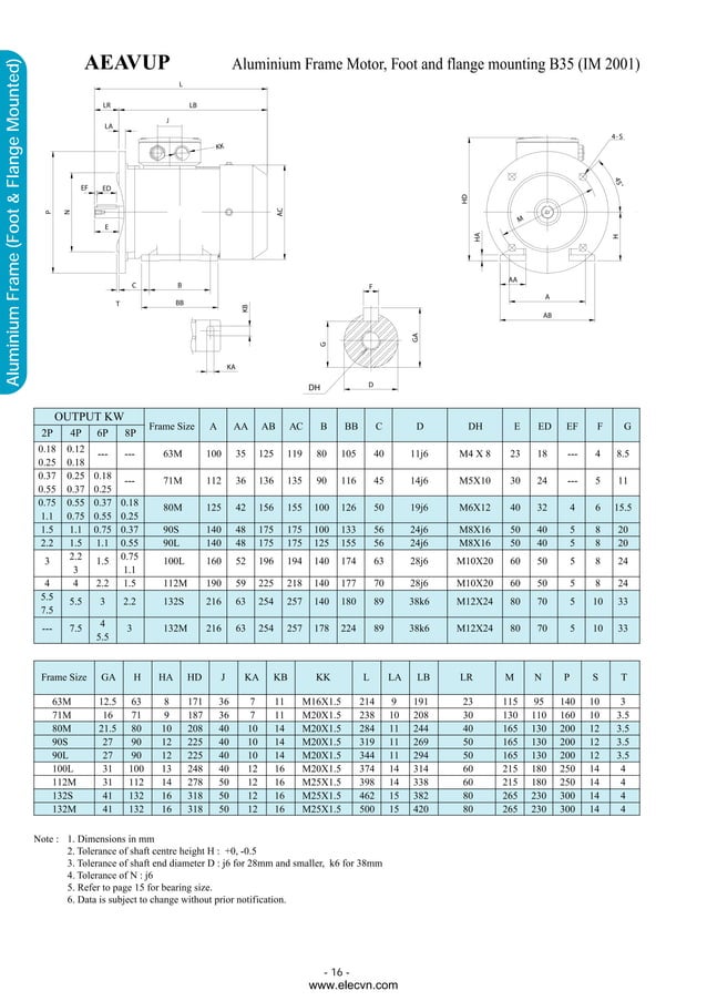 Teco electric motor manual PDF