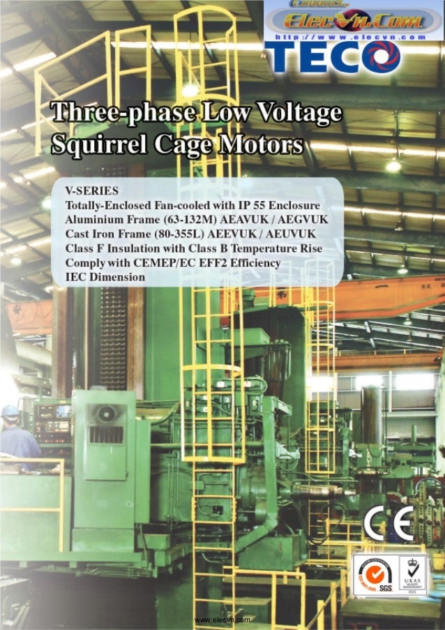 Teco Westinghouse 4 Pole 5.5 kW 50Hz Electric Motor