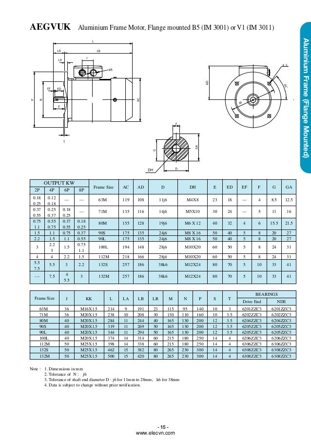 Teco electric motor manual