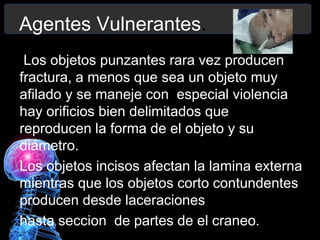 Agentes Vulnerantes.
Los objetos punzantes rara vez producen
fractura, a menos que sea un objeto muy
afilado y se maneje con especial violencia
hay orificios bien delimitados que
reproducen la forma de el objeto y su
diámetro.
Los objetos incisos afectan la lamina externa
mientras que los objetos corto contundentes
producen desde laceraciones
hasta seccion de partes de el craneo.
 