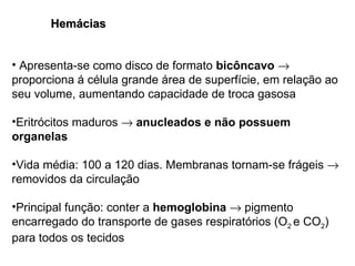 Hemácias   Apresenta-se como disco de formato  bicôncavo     proporciona á célula grande área de superfície, em relação ao seu volume, aumentando capacidade de troca gasosa Eritrócitos maduros     anucleados e não possuem organelas Vida média: 100 a 120 dias. Membranas tornam-se frágeis    removidos da circulação Principal função: conter a  hemoglobina     pigmento encarregado do transporte de gases respiratórios (O 2  e CO 2 ) para todos os tecidos 