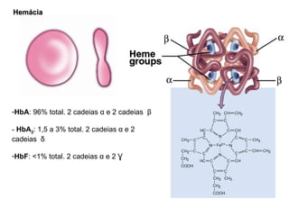 Hemácia HbA : 96% total. 2 cadeias  α  e 2 cadeias  β HbA 2 : 1,5 a 3% total.  2 cadeias  α  e 2 cadeias  δ HbF : <1% total.  2 cadeias  α  e 2 Ɣ 
