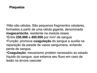 Não são células. São pequenos fragmentos celulares, formados a partir de uma célula gigante, denominada  megacariócito , residente na medula óssea Entre  250.000  e  400.000  por mm 3  de sangue Função: promove  coagulação  do sangue e auxilia na reparação da parede de vasos sanguíneos, evitando perda de sangue. Coagulação : mecanismo protetor necessário ao estado líquido do sangue, que estanca seu fluxo em caso de lesão na árvore vascular Plaquetas 